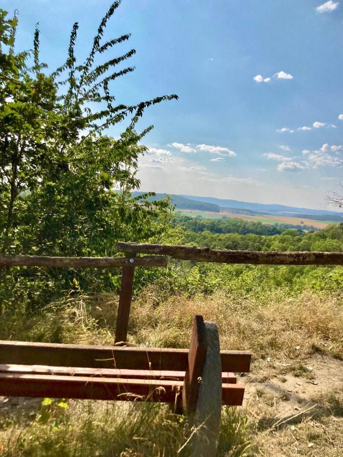 Ferienhaus Moni Mit 2 Separaten Wohnungen Am Silbersee Frielendorf エクステリア 写真